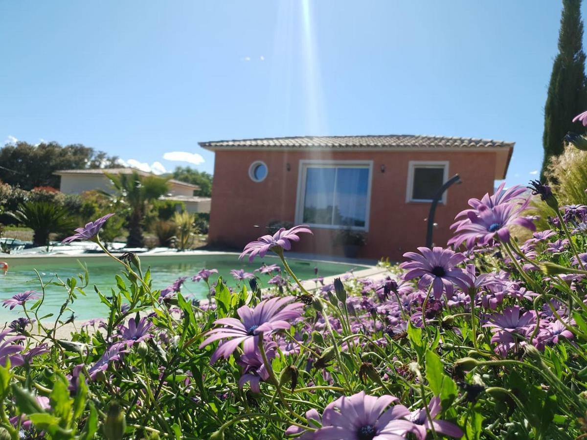 Villa Di Pardisoli Prunelli-di-Fiumorbo Exterior foto